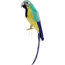 ガラス製　オウム 51nmU+6yafL._AC_UL210_SR210,